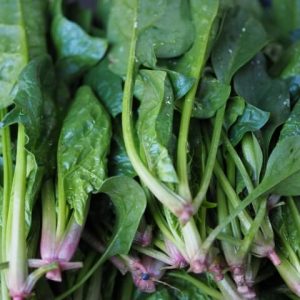 離乳食 初めての りんご レシピ 冷凍法