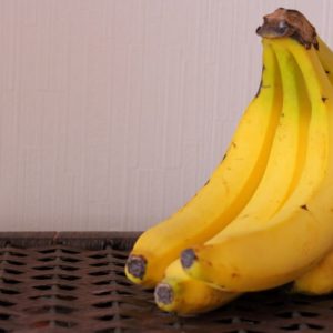 離乳食作りに必要な調理グッズはどんなもの