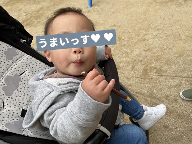 チョコレートは何歳からあげてる 4歳兄 1歳弟の実情をリポート