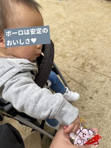 チョコレートは何歳からあげてる 4歳兄 1歳弟の実情をリポート