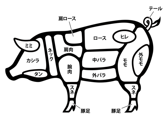 豚肉の部位イラスト
